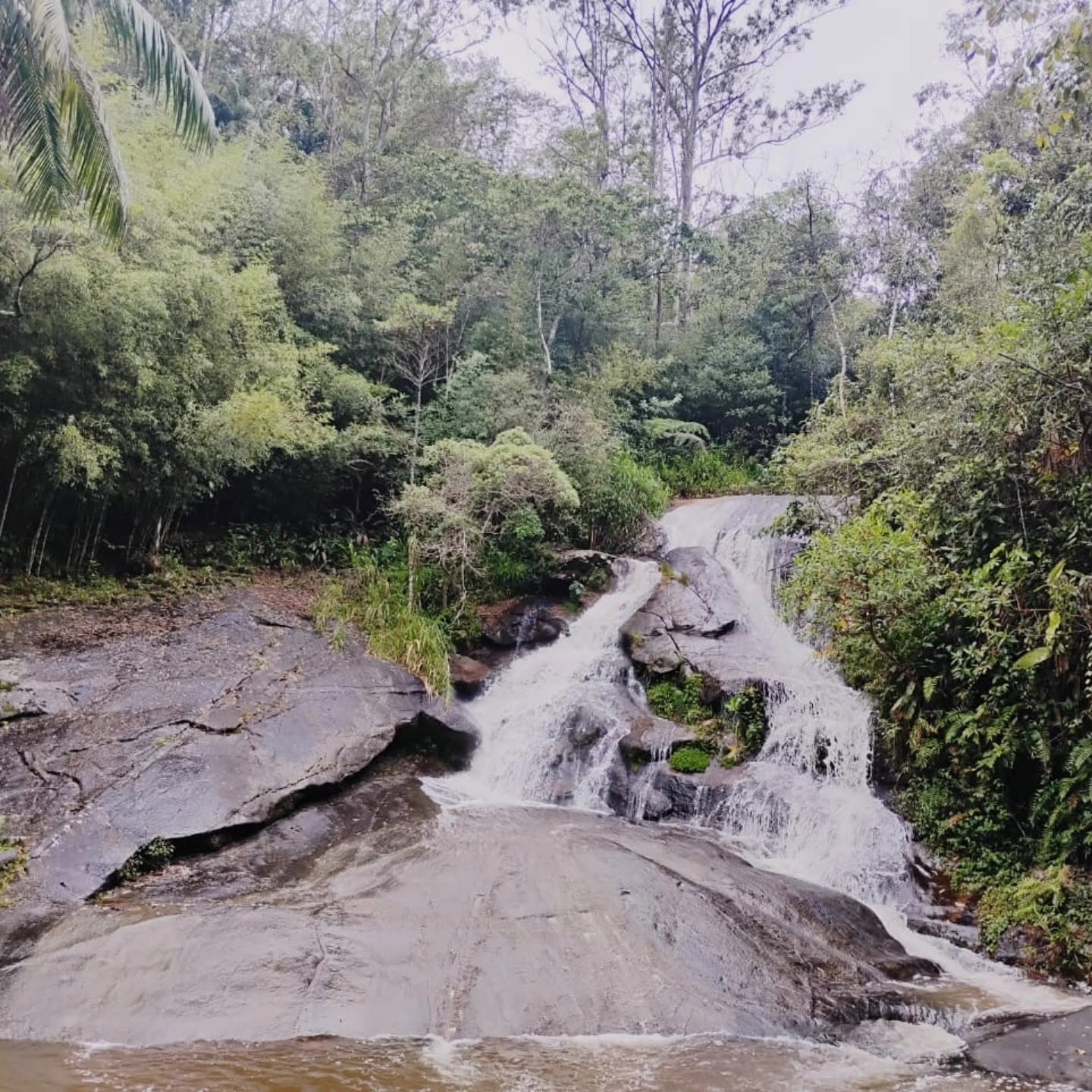 Cachoeira entre pedras cercada pela vegetação