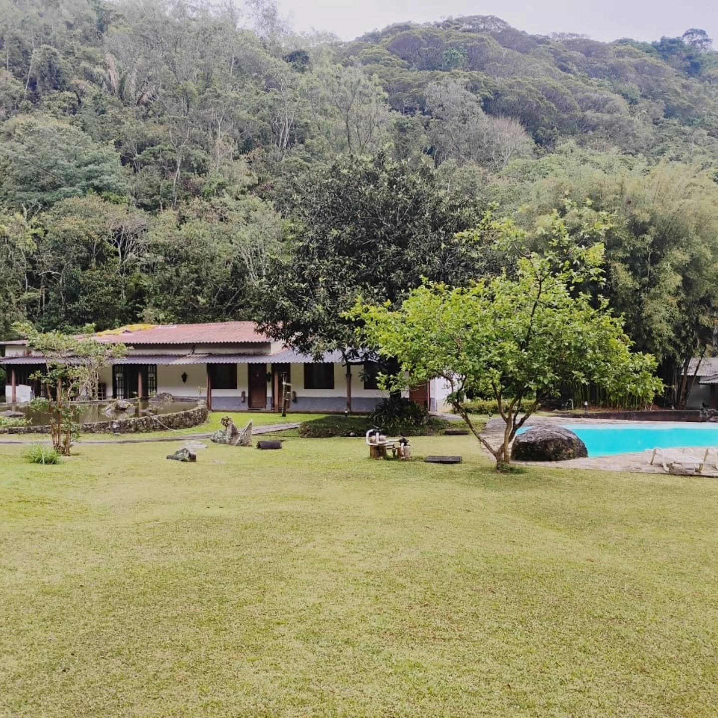 Piscina externa junto ao gramado e às árvores